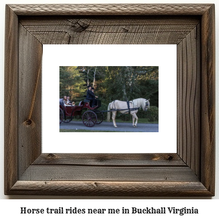 horse trail rides near me in Buckhall, Virginia